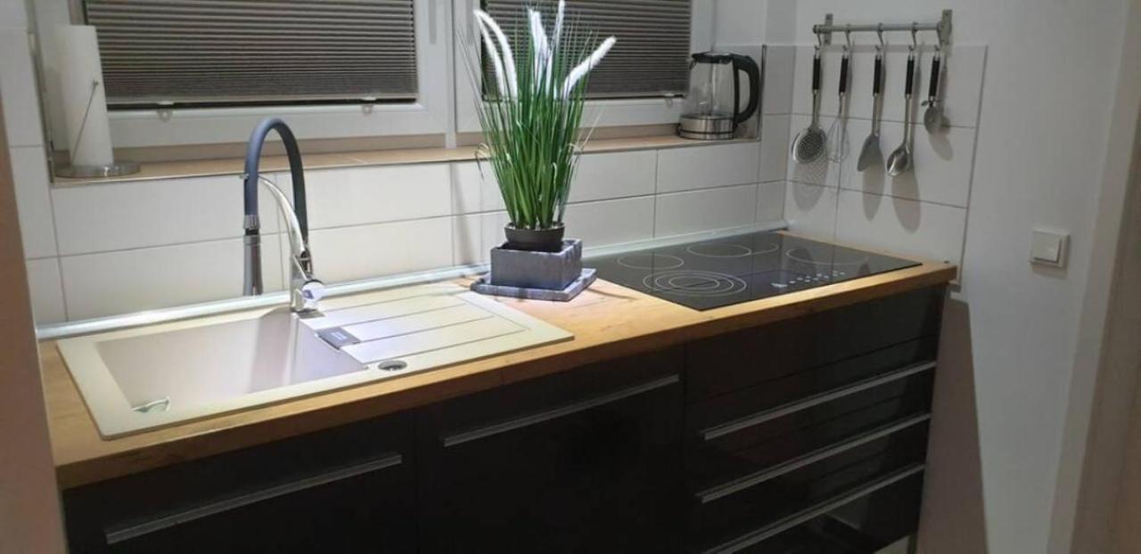 Schicke Ferienwohnung Mit Harzblick Fuer 1-2 Oder 1-4 Personen Goslar Buitenkant foto